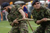 Vaisakhi mela 2008